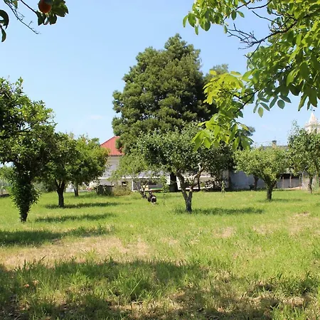 Guest house Fino Seixo